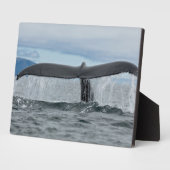 Plaque Photo Cascade (Côté)