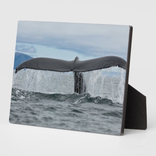 Plaque Photo Cascade (Côté)