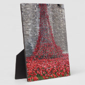 Plaque Photo Cascade des Papes - Tour de Londres (Côté)