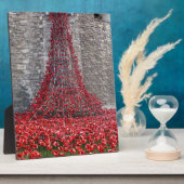 Plaque Photo Cascade des Papes - Tour de Londres (Côté)