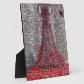 Plaque Photo Cascade des Papes - Tour de Londres (Côté)