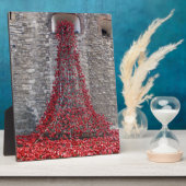 Plaque Photo Cascade des Papes - Tour de Londres (Côté)