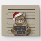 Plaque Photo Cat Christmas (Devant)