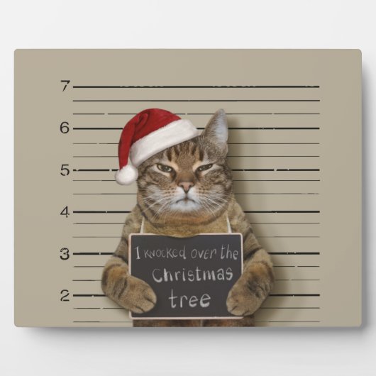 Plaque Photo Cat Christmas (Devant)