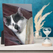 Plaque Photo Cat Napping (Côté)