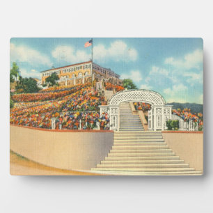 Plaque Photo Catalina