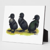 Plaque Photo Cayuga noir (Côté)