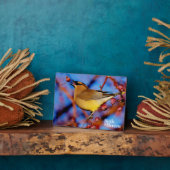 Plaque Photo Cèdre (Côté)