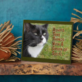 Plaque Photo Céréales de sel Conseil de chat Temps de motivatio (Côté)