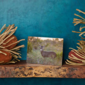 Plaque Photo Cerf à queue blanche | Automne au Texas (Côté)