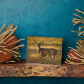 Plaque Photo Cerf à queue blanche | Sud du Texas (Côté)