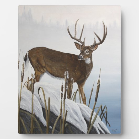 Plaque Photo Cerf blanc (Devant)