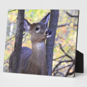 Plaque Photo Cerf sympa dans les bois (Côté)