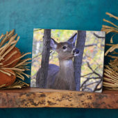 Plaque Photo Cerf sympa dans les bois (Côté)