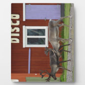 PLAQUE PHOTO CERFS COMMUNS DE DISCO (Devant)