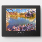 Plaque Photo Cerisier Yoshino (Devant)
