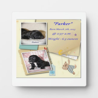 Plaque Photo Certificat de naissance de Parkers