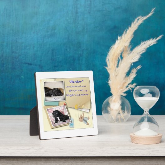 Plaque Photo Certificat de naissance de Parkers (Insitu)