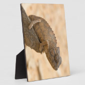 Plaque Photo Chameleon en Namibie (Côté)
