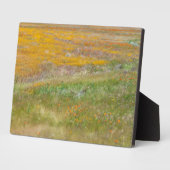 Plaque Photo Champ fleur sauvage (Côté)