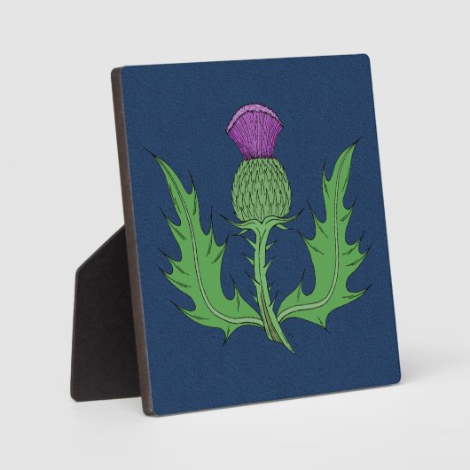 Plaque Photo Chardon (Recto)