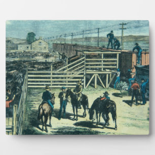 Plaque Photo Chargement du bétail du Texas dans un train à Abil