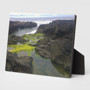 Plaque Photo Chasme de Cook, Cape Perpetua, OU