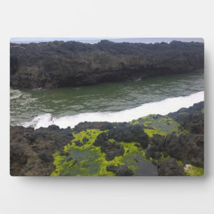Plaque Photo Chasme de Cook, Cape Perpetua, OU