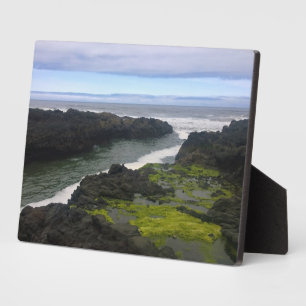 Plaque Photo Chasme de Cook, Cape Perpetua, OU