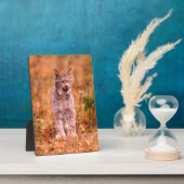 Plaque Photo Chasse Bobcat | Forêt d'automne (Côté)