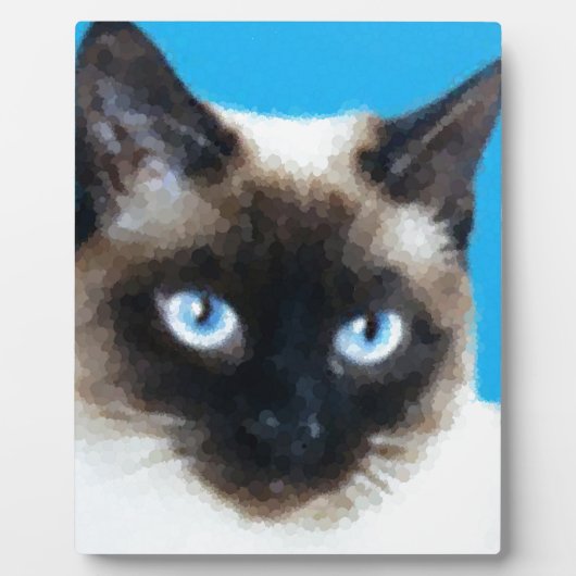 Plaque Photo Chat 1 (Devant)