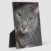 Plaque Photo Chat bleu russe (Côté)