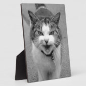 Plaque Photo Chat en colère (Côté)