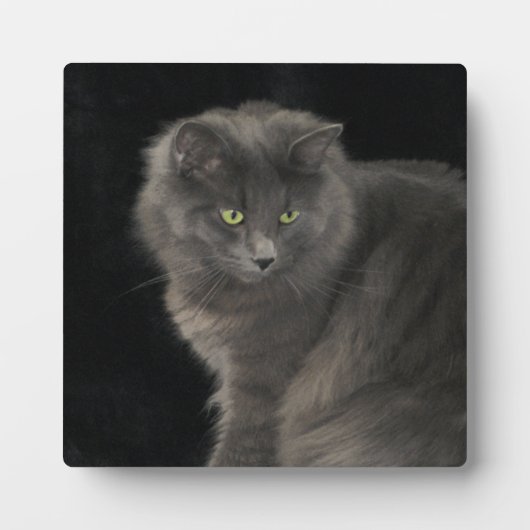 Plaque Photo Chat gris Long Cheveux Russe Bleu Kitty Kitten Mig (Devant)