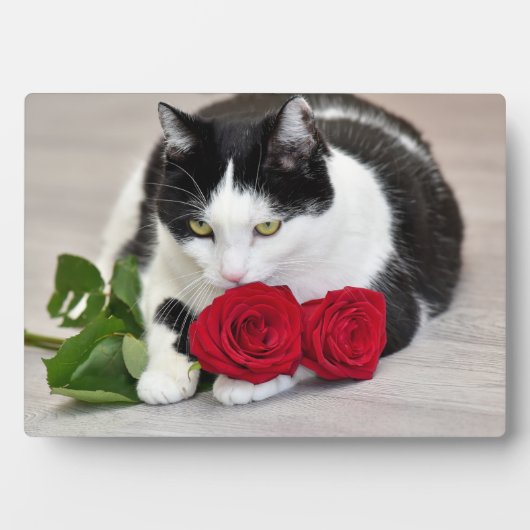 Plaque Photo Chat mignon avec la rose rouge (Devant)