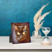 Plaque Photo chat noir (Insitu)