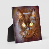 Plaque Photo chat noir (Recto)