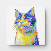 Plaque Photo Chat sous le soleil (Devant)