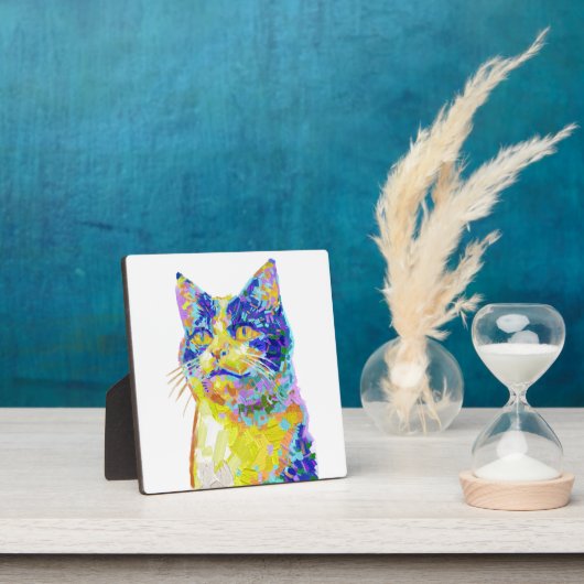 Plaque Photo Chat sous le soleil (Insitu)