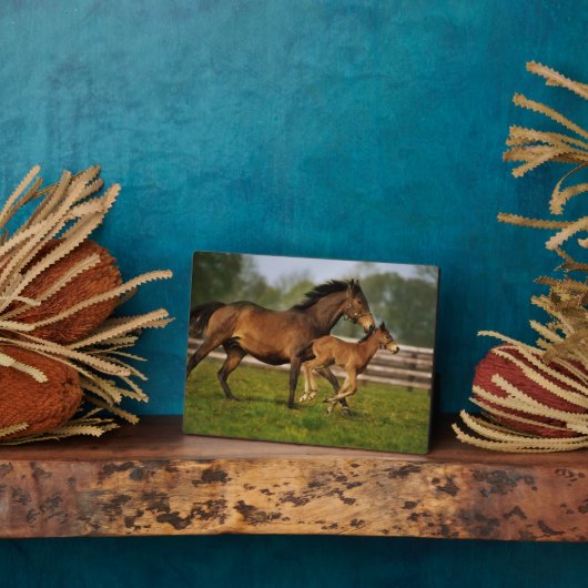 Plaque Photo Châtaigne de Thoroughbred Mare & Foie (Côté)