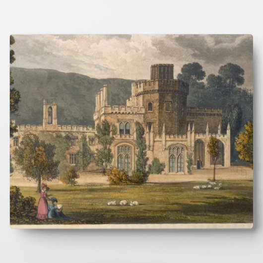 Plaque Photo Château Luscombe, Devon (litho couleur) (Devant)