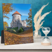 Plaque Photo Château médiéval entouré de forêt (Côté)