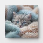 Plaque Photo Chaton duveteux dans une couverture douce (Devant)