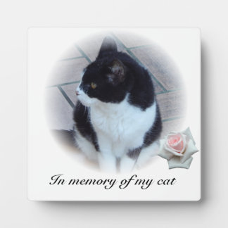 Plaque Photo Chats