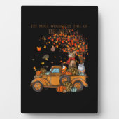 Plaque Photo Chats Automne Camion plein Citrouille Automne Arbr (Devant)