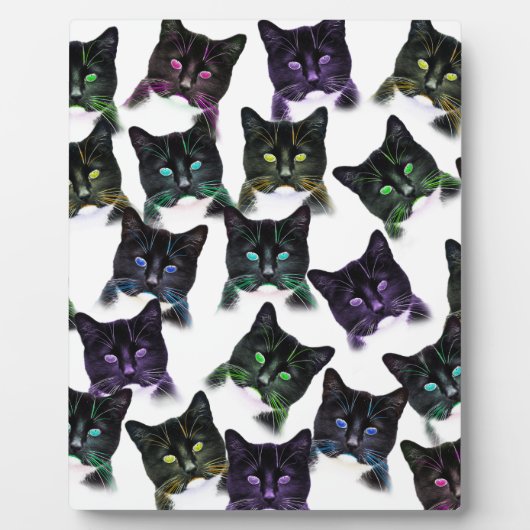 Plaque Photo Chats cool (Devant)