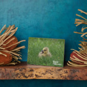 Plaque Photo Chauffage à l'oie canadienne (Côté)