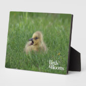 Plaque Photo Chauffage à l'oie canadienne (Côté)