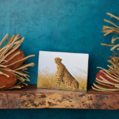 Plaque Photo Cheetah (Côté)