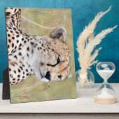 Plaque Photo Cheetah (Côté)